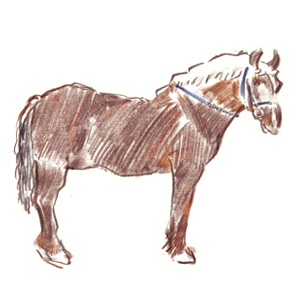 ばん馬
