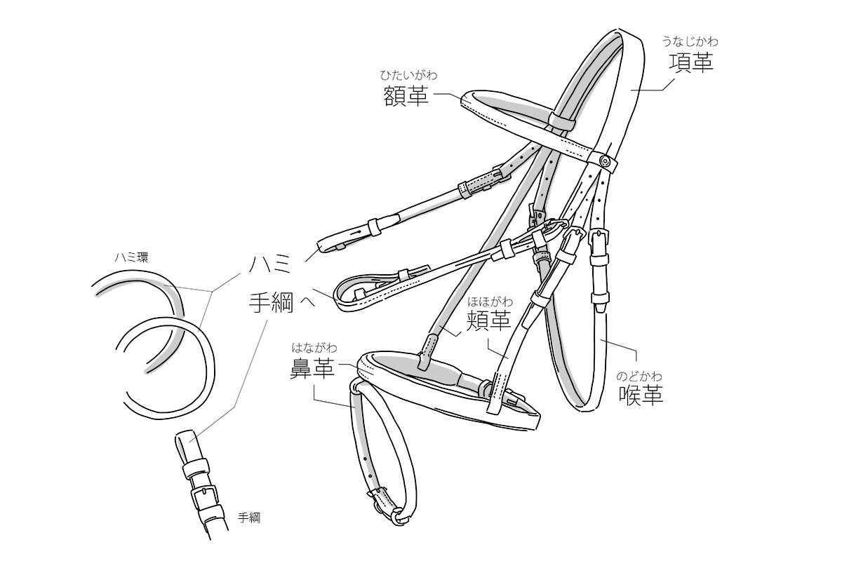 頭絡とは｜馬具の名称と機能 | ソメスサドル【日本の革鞄と馬具】