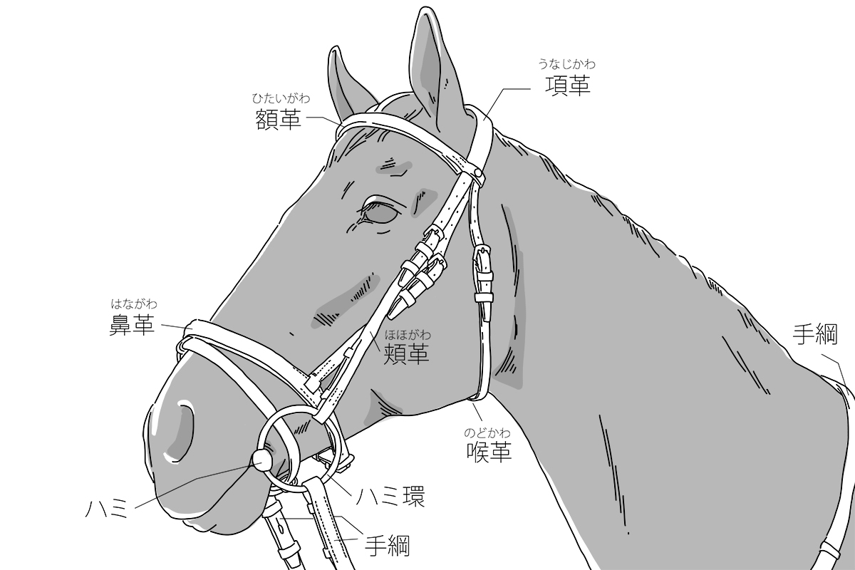 馬具、乗馬、おもがい、くつわ、ハミ、競馬、競争馬