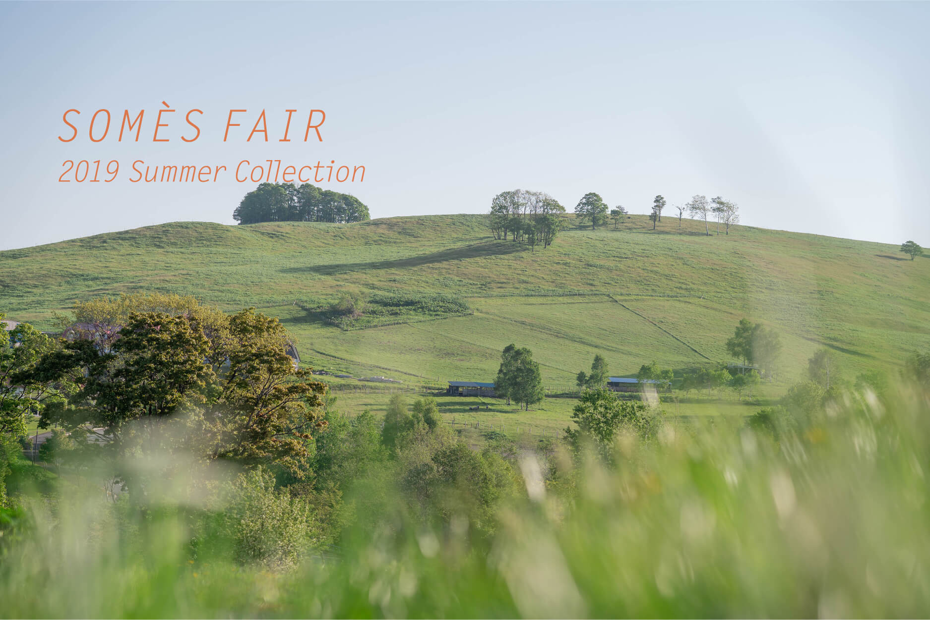 SOMES_FAIR_2018