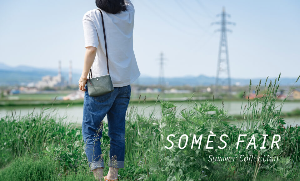 SOMES_FAIR_2020