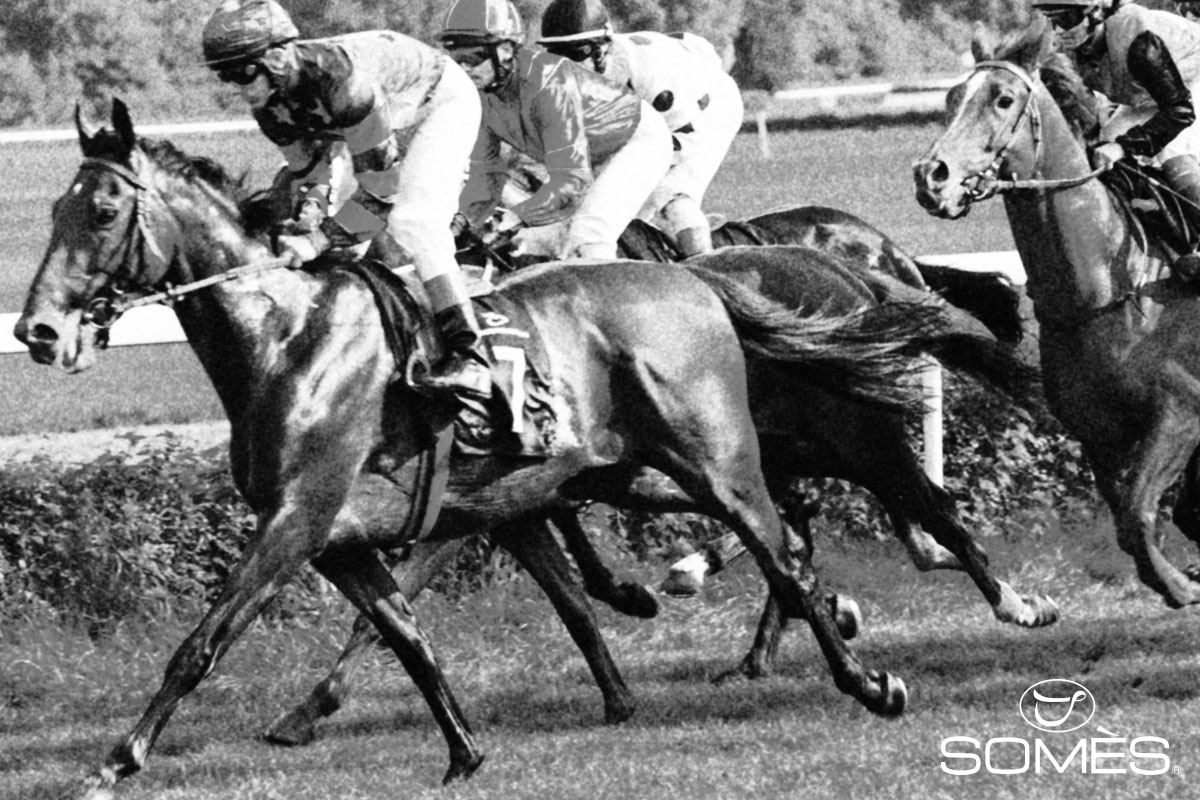 競馬の様子